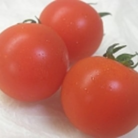 パツパツが長持ち ミニトマトの保存方法 レシピ 作り方 By Xxxぷしゅけxxx 楽天レシピ